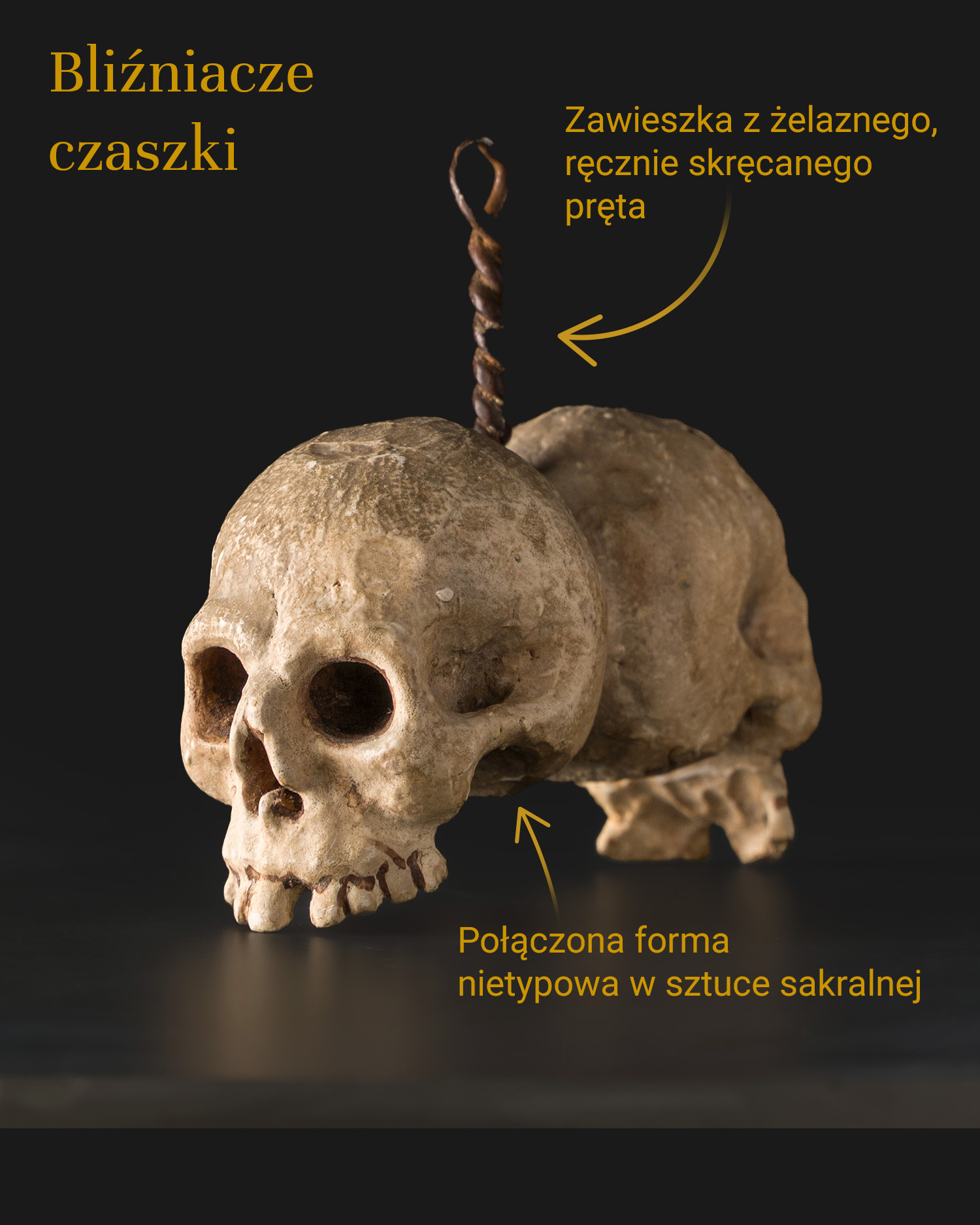 2 Dwie połączone czaszki