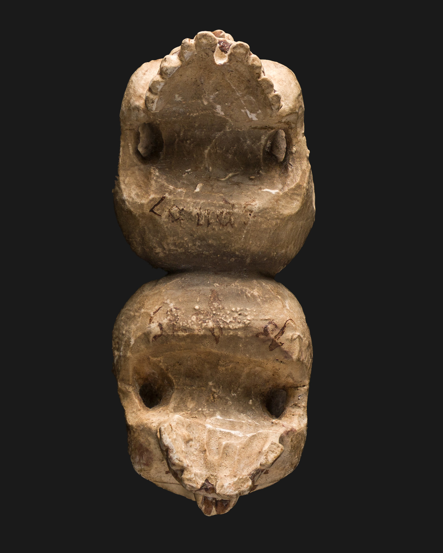 4 Dwie połączone czaszki