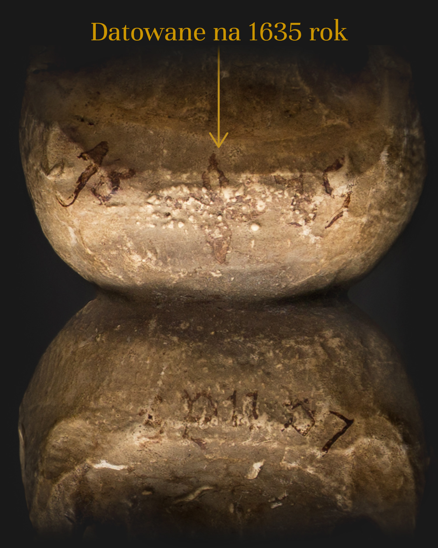 5 Dwie połączone czaszki